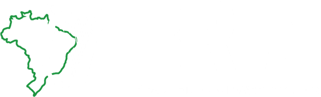 Brazil-Ireland Association